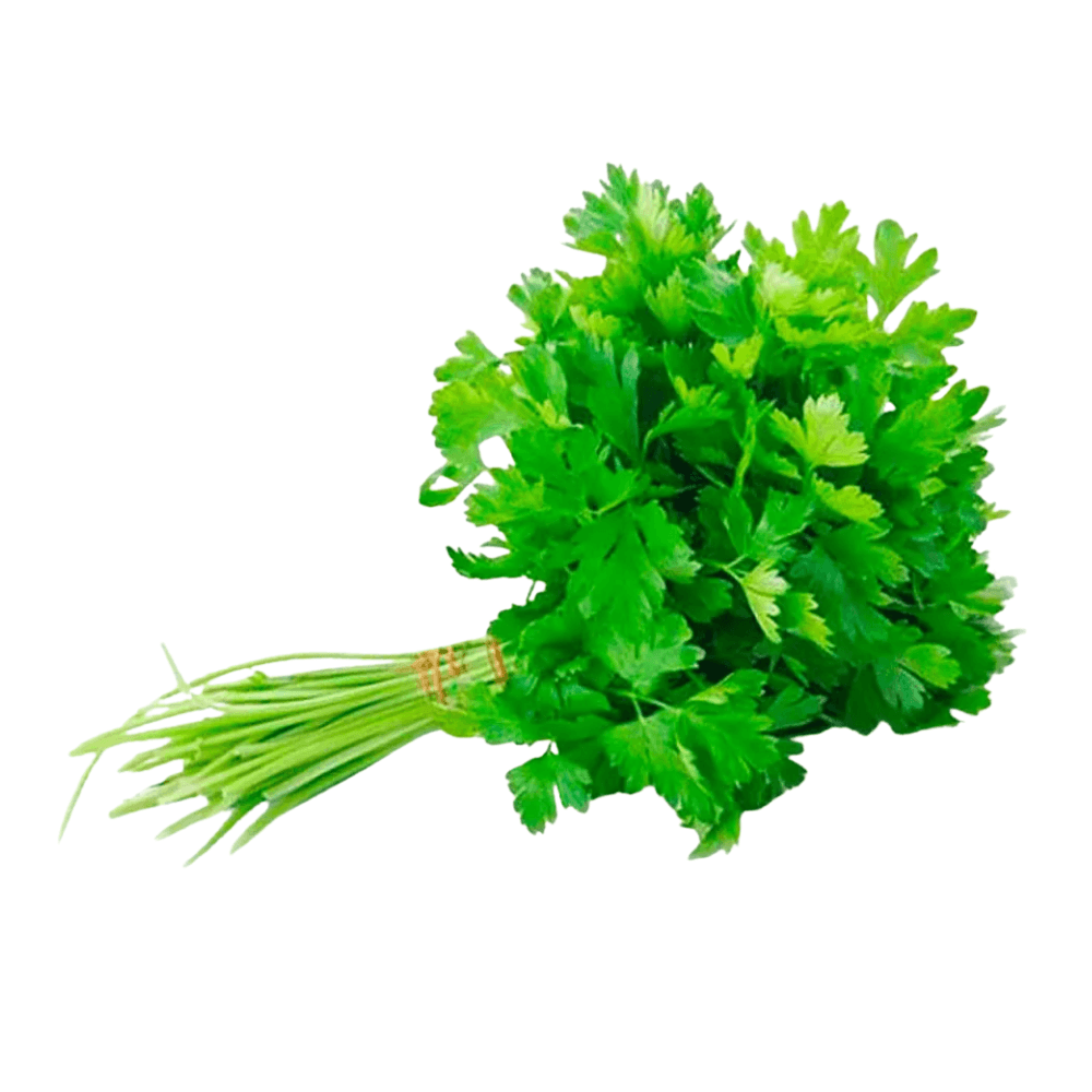 Cheiro Verde Hidropônico Unidade