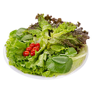 Salada Completa Oba