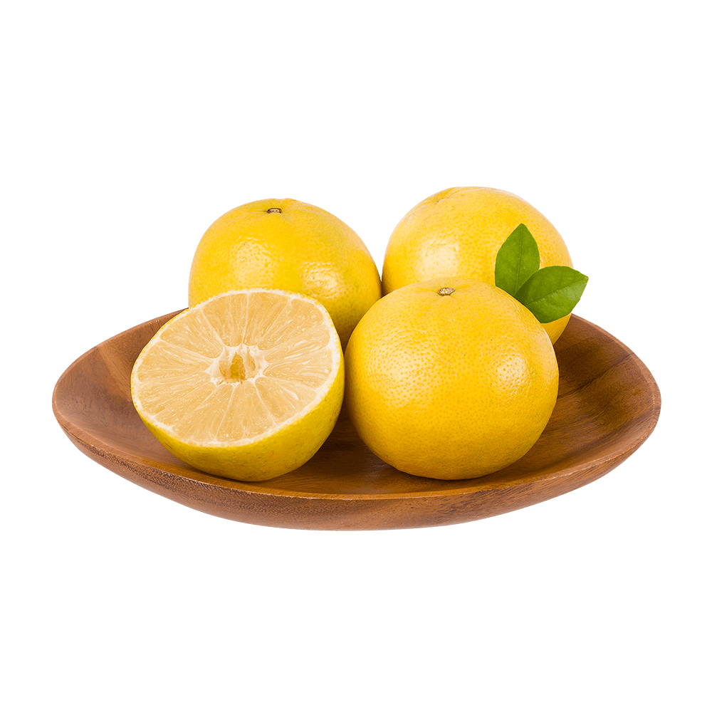 Laranja Lima Da Pérsia